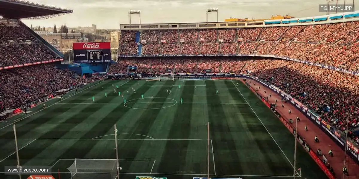 ⚽️ 赛事盛宴，激情永不落幕！